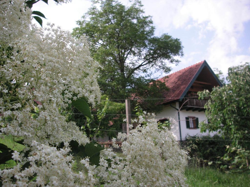 Bauernhof Grain Villa Feldbach Kültér fotó